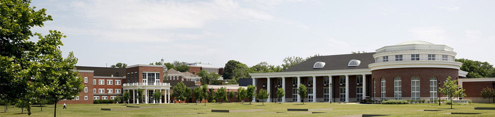pic1.jpg